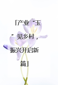 产业“玉”见乡村，振兴开启新篇