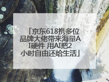 京东618携多位品牌大佬带来海量AI硬件 用AI把2小时自由还给生活