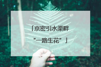 京密引水渠畔“一路生花”