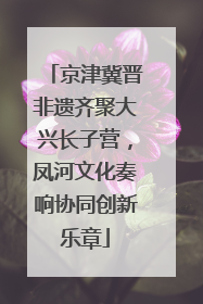 京津冀晋非遗齐聚大兴长子营，凤河文化奏响协同创新乐章