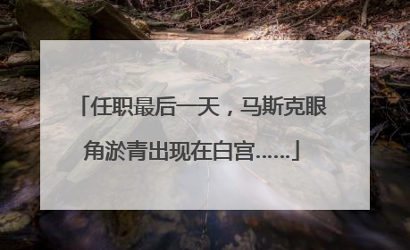 任职最后一天，马斯克眼角淤青出现在白宫……