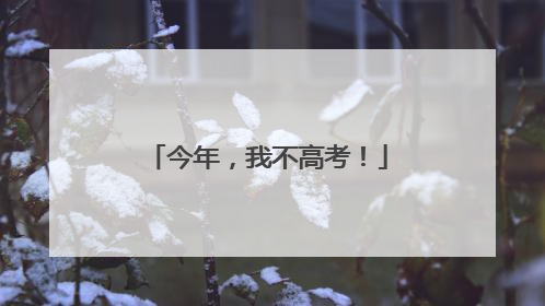 今年，我不高考！