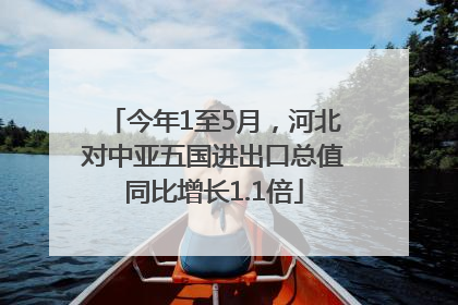 今年1至5月，河北对中亚五国进出口总值同比增长1.1倍