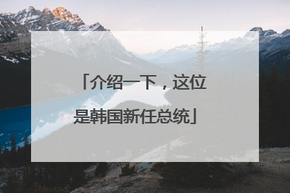 介绍一下，这位是韩国新任总统