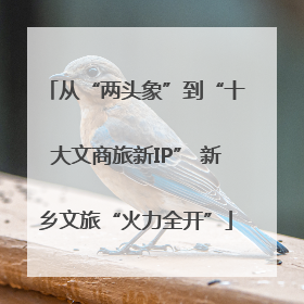 从“两头象”到“十大文商旅新IP” 新乡文旅“火力全开”