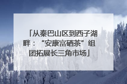 从秦巴山区到西子湖畔：“安康富硒茶”组团拓展长三角市场