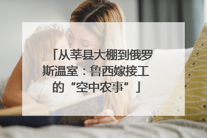 从莘县大棚到俄罗斯温室：鲁西嫁接工的“空中农事”