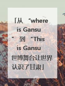从 “where is Gansu” 到 “This is Gansu” 世博舞台让世界认识了甘肃