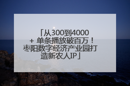 从300到4000+ 单条播放破百万！枣阳数字经济产业园打造新农人IP
