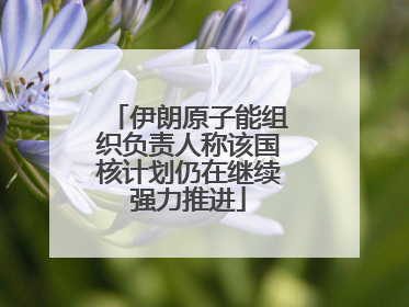 伊朗原子能组织负责人称该国核计划仍在继续强力推进