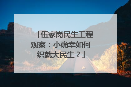 伍家岗民生工程观察：小确幸如何织就大民生？
