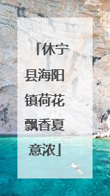 休宁县海阳镇荷花飘香夏意浓