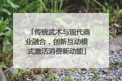 传统武术与现代商业融合，创新互动模式激活消费新动能