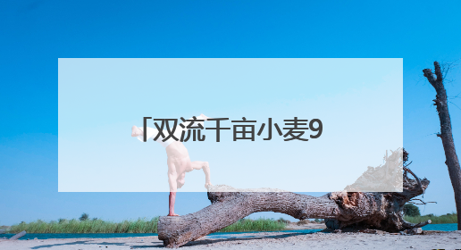 双流千亩小麦9级大风中倒伏 保险难撑“保护伞”？丨阳光帮忙