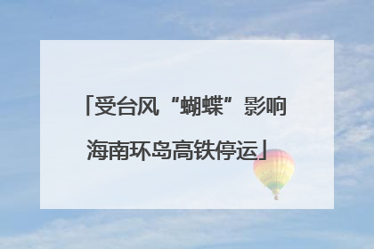 受台风“蝴蝶”影响 海南环岛高铁停运