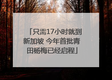 只需17小时就到新加坡 今年首批青田杨梅已经启程