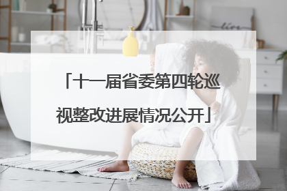 十一届省委第四轮巡视整改进展情况公开