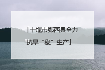 十堰市郧西县全力抗旱“稳”生产