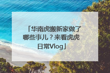 华南虎搬新家做了哪些事儿？来看虎虎日常Vlog
