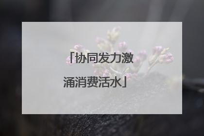 协同发力激涌消费活水