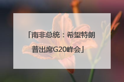 南非总统：希望特朗普出席G20峰会