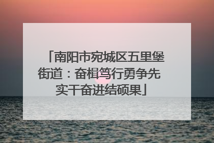 南阳市宛城区五里堡街道：奋楫笃行勇争先 实干奋进结硕果