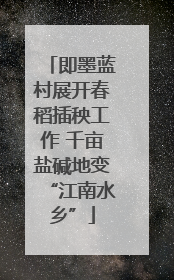 即墨蓝村展开春稻插秧工作 千亩盐碱地变“江南水乡”