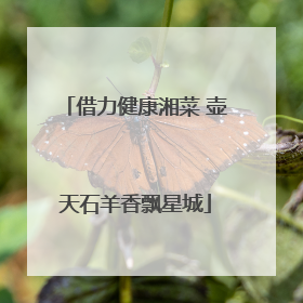 借力健康湘菜 壶天石羊香飘星城