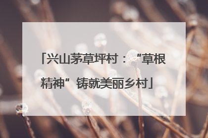 兴山茅草坪村：“草根精神”铸就美丽乡村