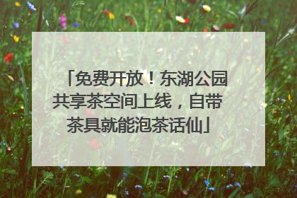 免费开放！东湖公园共享茶空间上线，自带茶具就能泡茶话仙