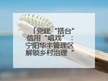 党建“搭台”信用“唱戏”：宁阳华丰管理区解锁乡村治理“信用密码”