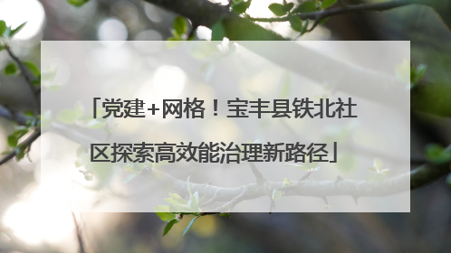 党建+网格！宝丰县铁北社区探索高效能治理新路径