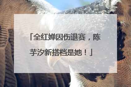 全红婵因伤退赛，陈芋汐新搭档是她！