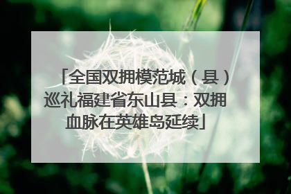全国双拥模范城（县）巡礼福建省东山县：双拥血脉在英雄岛延续