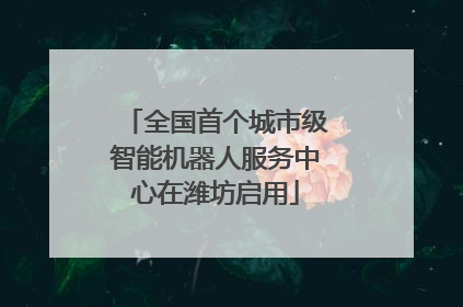 全国首个城市级智能机器人服务中心在潍坊启用