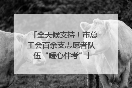 全天候支持！市总工会百余支志愿者队伍“暖心伴考”