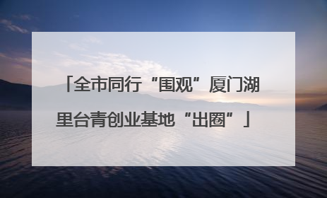 全市同行“围观”厦门湖里台青创业基地“出圈”