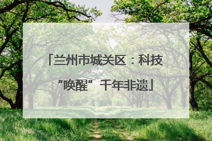 兰州市城关区：科技“唤醒”千年非遗