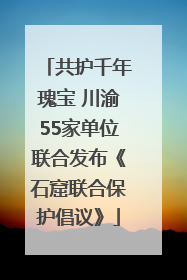 共护千年瑰宝 川渝55家单位联合发布《石窟联合保护倡议》