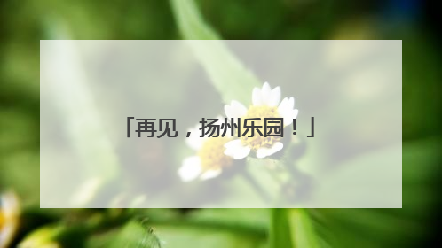 再见，扬州乐园！