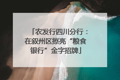 农发行四川分行：在叙州区擦亮“粮食银行”金字招牌