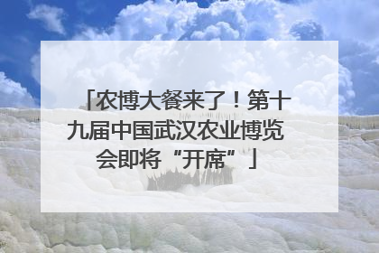 农博大餐来了！第十九届中国武汉农业博览会即将“开席”