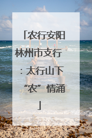 农行安阳林州市支行：太行山下“农”情涌
