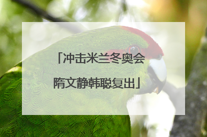 冲击米兰冬奥会 隋文静韩聪复出