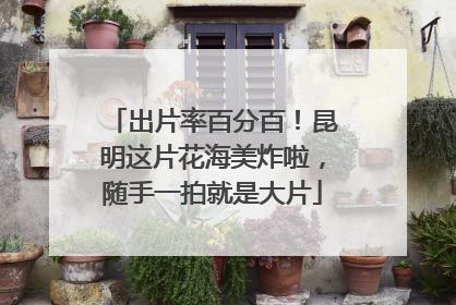 出片率百分百！昆明这片花海美炸啦，随手一拍就是大片
