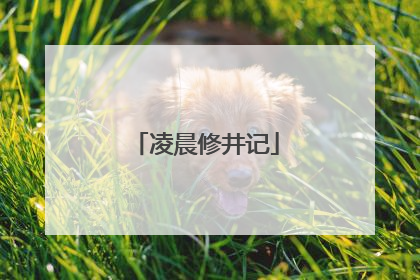 凌晨修井记