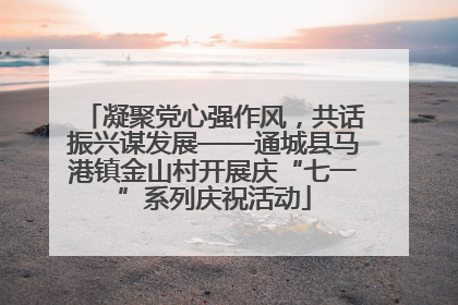 凝聚党心强作风，共话振兴谋发展——通城县马港镇金山村开展庆“七一”系列庆祝活动