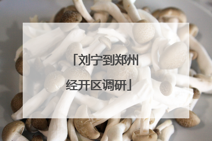 刘宁到郑州经开区调研
