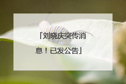 刘晓庆突传消息！已发公告