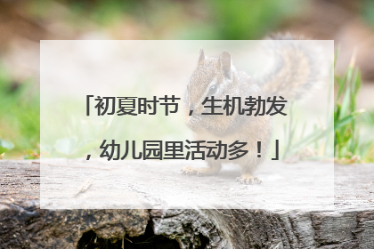 初夏时节，生机勃发，幼儿园里活动多！